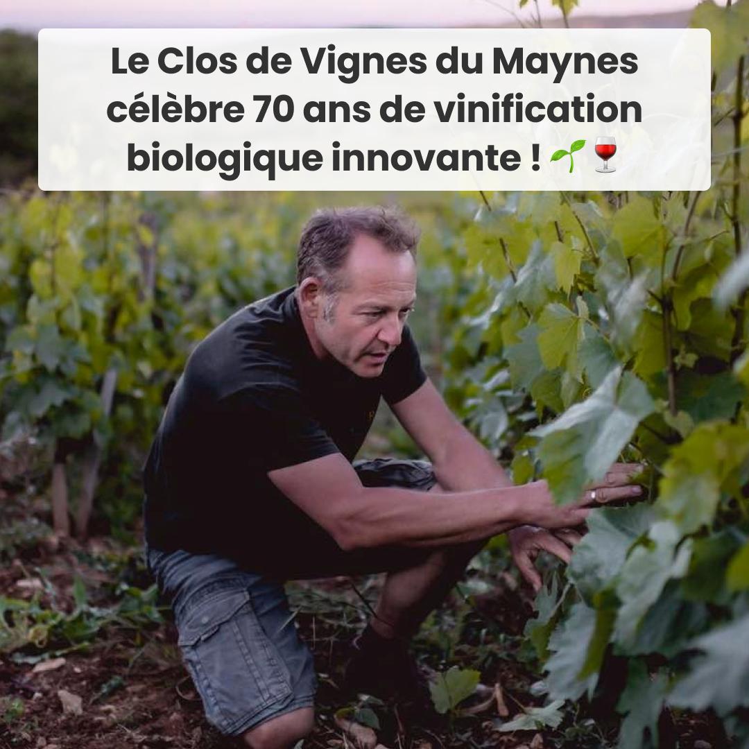 Clos de vignes du Maynes 1